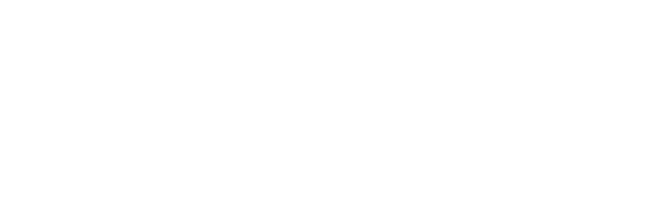 Freundin Logo
