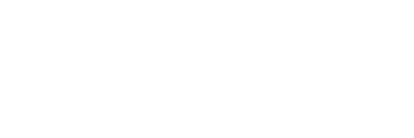 WZ Logo